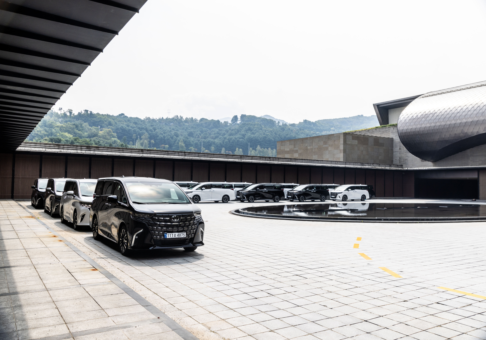 v6.jpg